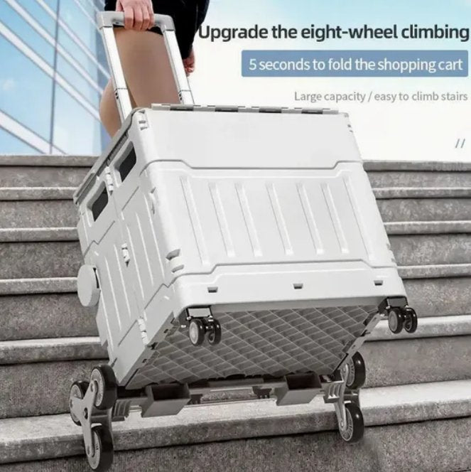 Rolling Crate on Wheels